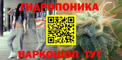 прущие крисы Заводоуковск