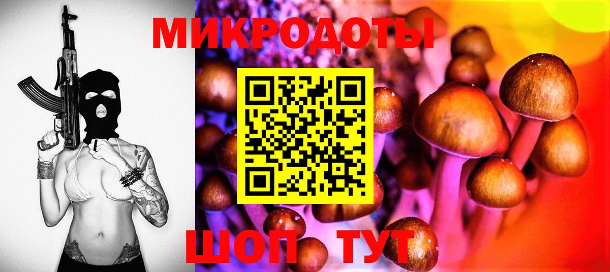 Галлюциногенные грибы Cubensis  Вход с VPN  Луховицы  Псилоцибиновые грибы прущие грибы 